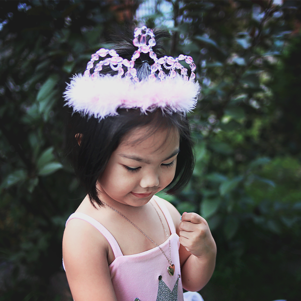 Princess Tiara Pink and Silver
