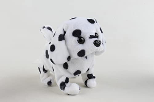 Spotty the Walking Dog